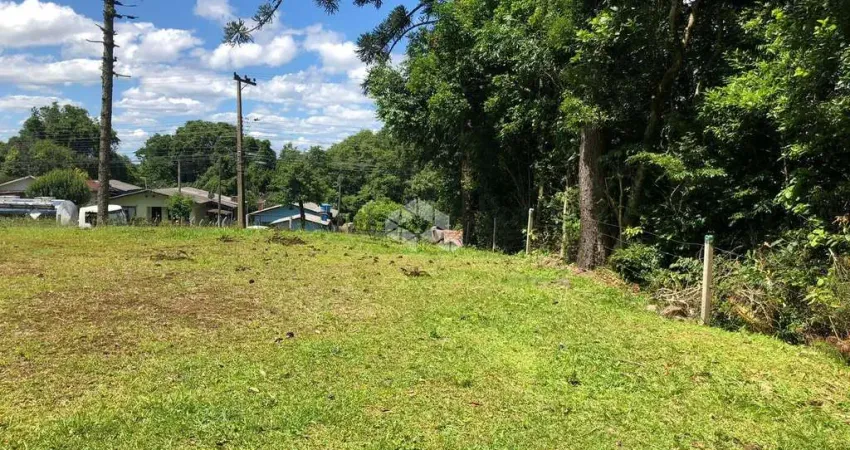 Terreno no Bairro Vila Germânia em Nova Petrópolis/ Serra Gaúcha