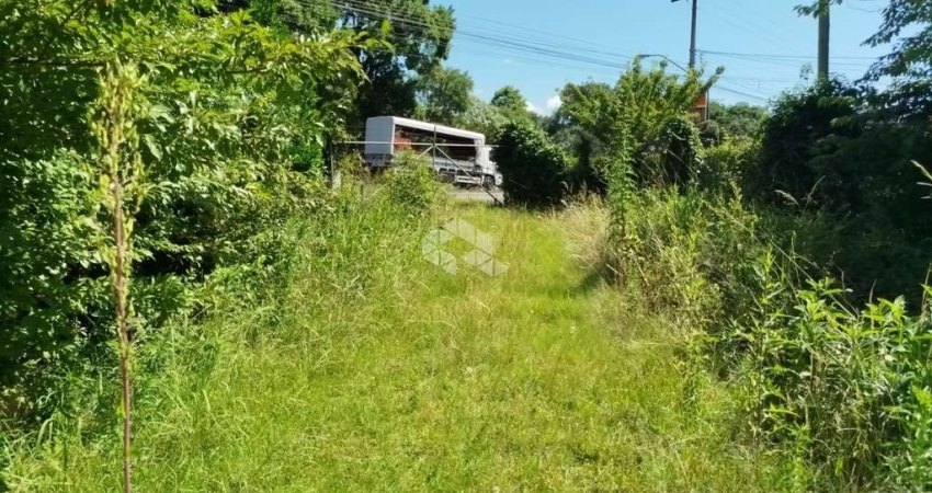 Terreno na avenida 15 de novembro as margens da Rs 235