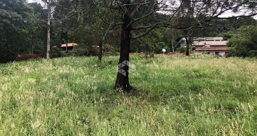 Terreno no Bairro Pousada da Neve em Nova Petrópolis