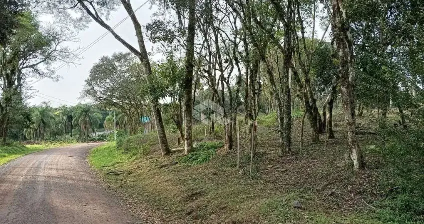 Terreno à venda na Geral Da Fazenda Pirajá, 1, Vila Germania, Nova Petrópolis
