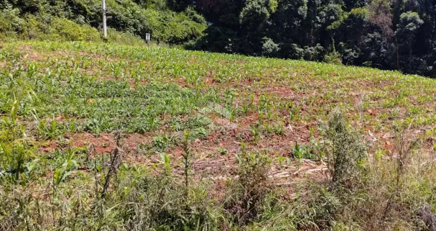Terreno à venda na Pedro Weber, 2, Pinhal Alto, Nova Petrópolis