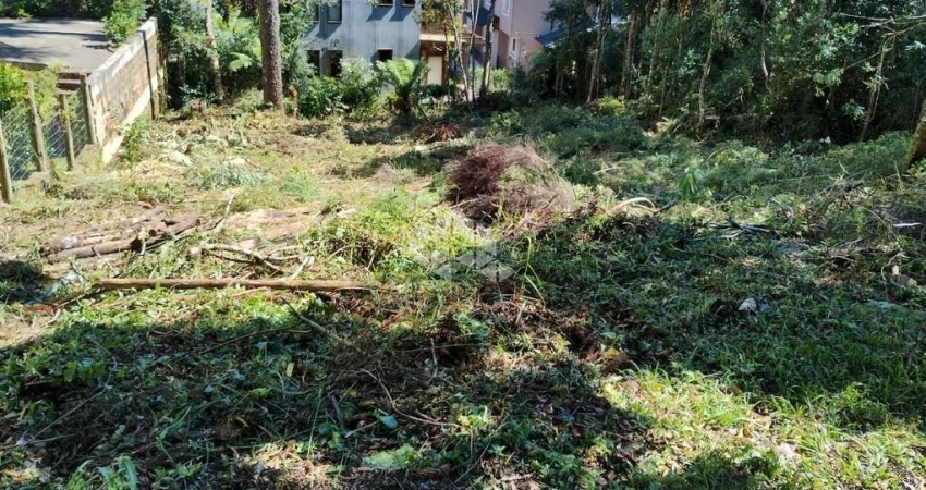 Terreno à venda na Das Lebres, 80, Quinta da Serra, Canela