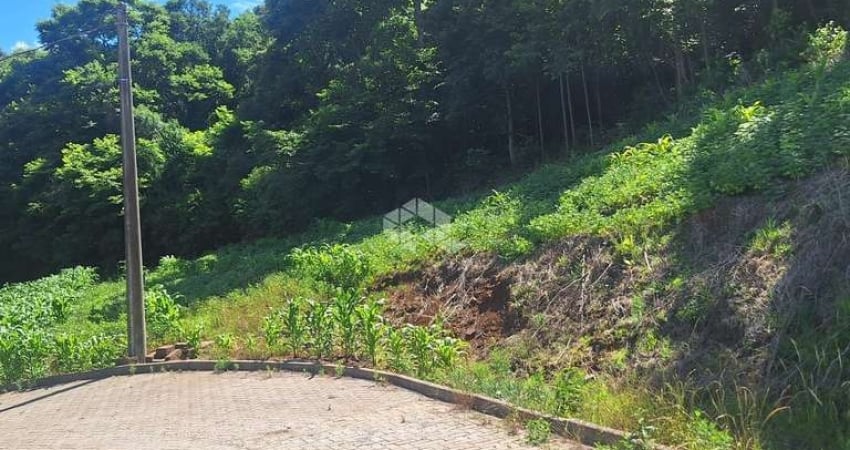 Terreno com 936,02 m2 em área arborizada na serra gaúcha a venda por R$ 159.000,00