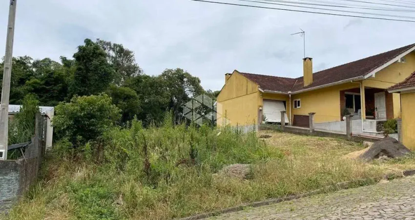 Terreno à venda na Bela Vista, 600, Logradouro, Nova Petrópolis