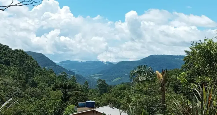 Chácara / sítio à venda na Linha Stille ECK, 1, Linha Temerária, Nova Petrópolis