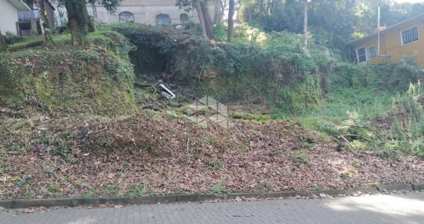 Terreno localizado no centro de Nova Petrópolis, Serra gaúcha.