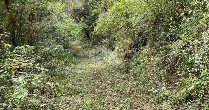Chácara / sítio à venda na Linha Pirajá, 1, Zona Rural, Nova Petrópolis
