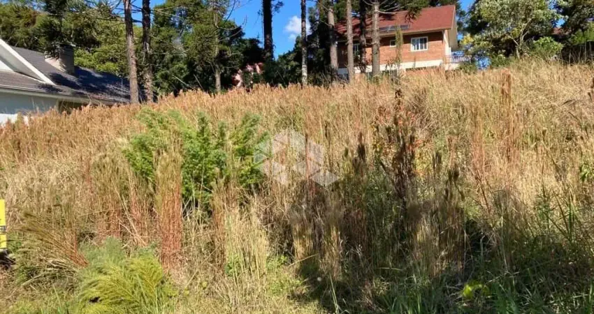 Terreno à venda na Ipiranga, 4, Centro, Nova Petrópolis