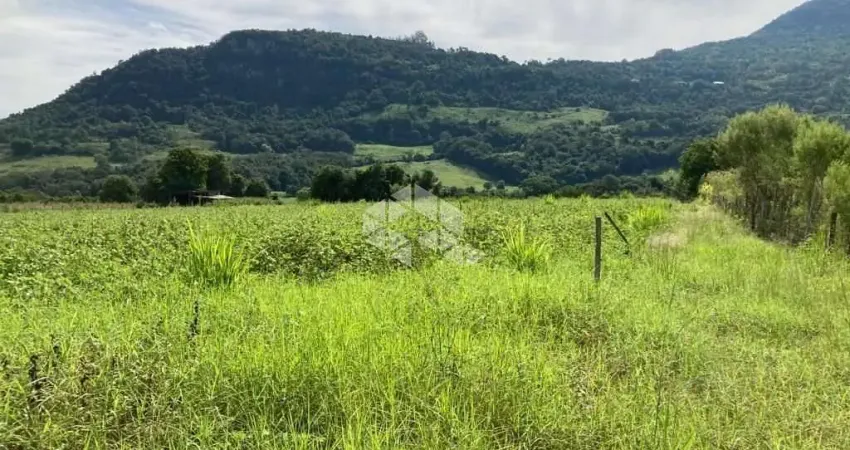 Chácara / sítio à venda na estrada sao jose do cai, 1500, Vale do Rio Cai, Nova Petrópolis