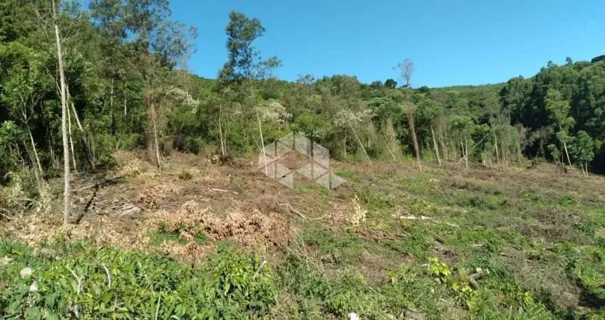 Excelente área de terra com vista