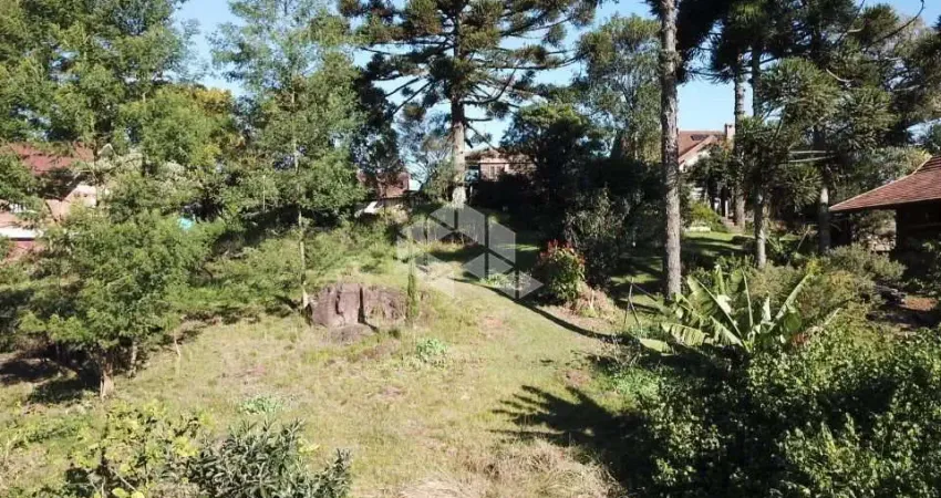 Terreno à venda na Ipiranga, 3, Centro, Nova Petrópolis