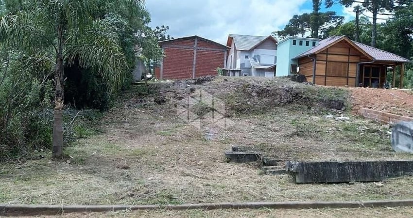Terreno à venda na Carlos Rudolfo Braun, 10, Vila Germania, Nova Petrópolis