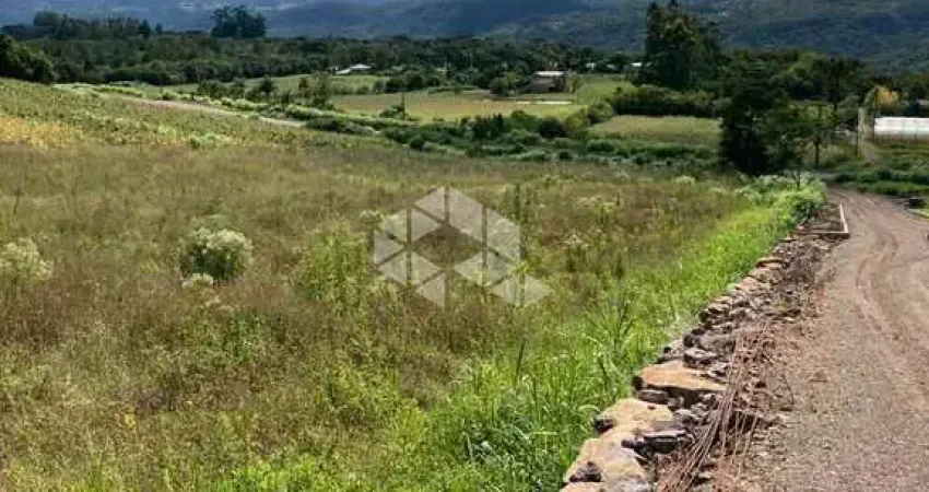 Chácara / sítio à venda na RS 235, 22, Linha Araripe, Nova Petrópolis