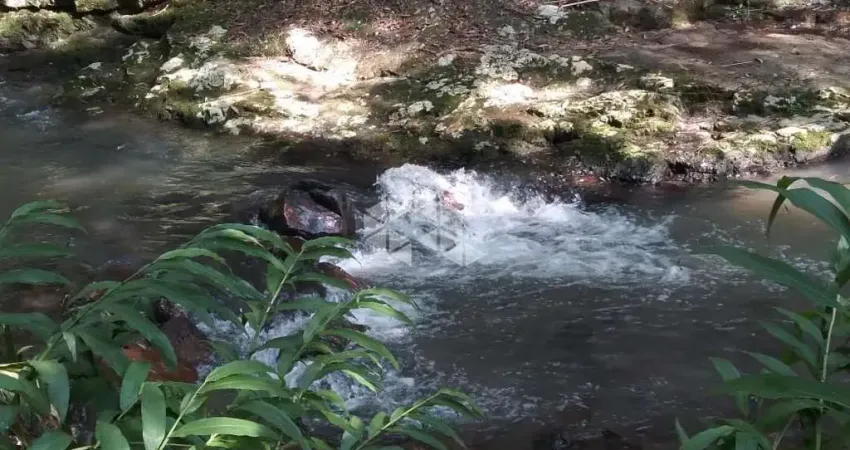 Chácara / sítio à venda na dos Ackermann, 1000, Zona Rural, Nova Petrópolis