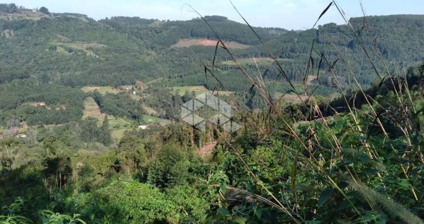 Chácara / sítio à venda na dos Ackermann, 7500, Zona Rural, Nova Petrópolis