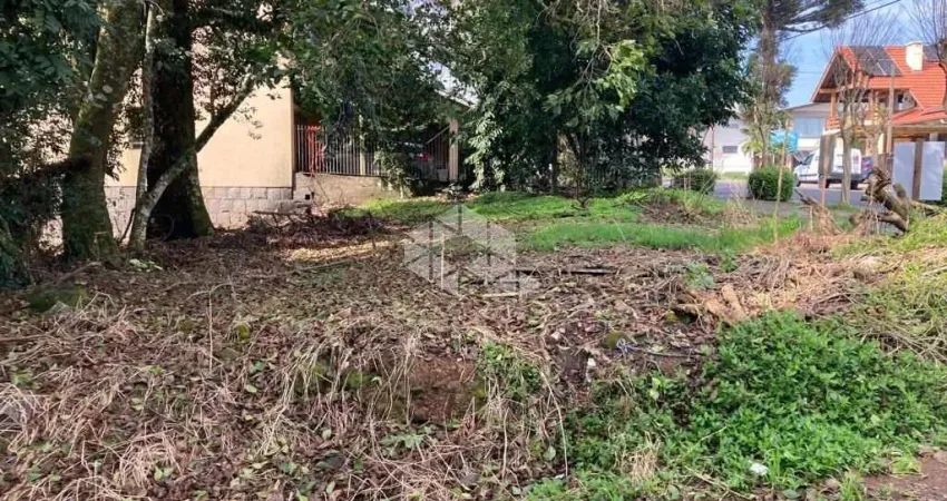 Terreno à venda na Frederico Michaelsen, 800, Logradouro, Nova Petrópolis