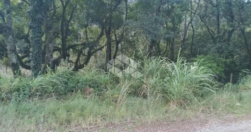 Terreno à venda na São Jacó, 5, Bavária, Nova Petrópolis