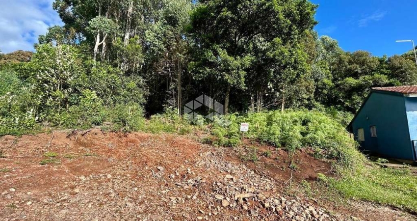 Terreno à venda na Veranopolis, 2, Pousada da Neve, Nova Petrópolis