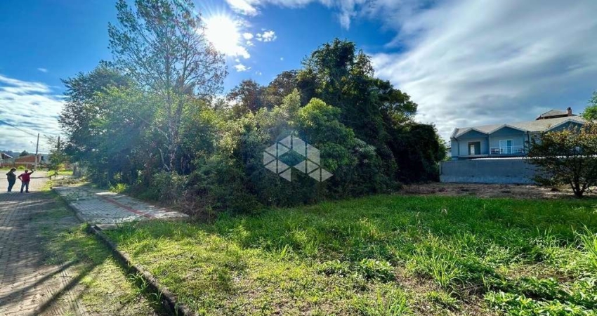 Terreno à venda na João Peyer, 1, Pousada da Neve, Nova Petrópolis