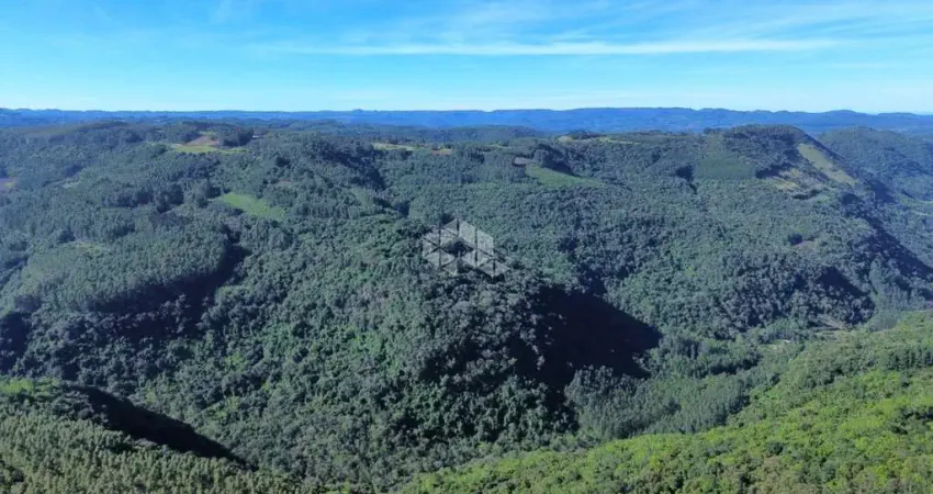 Terreno no Loteamento Residencial Colinas em Nova Petrópolis, na serra gaúcha!