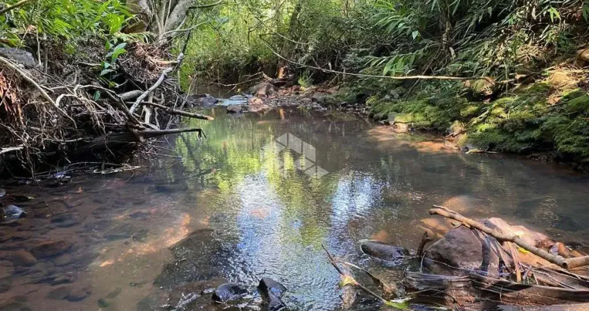 Chácara / sítio à venda na Vila Linha Temeraria, 550, Zona Rural, Nova Petrópolis