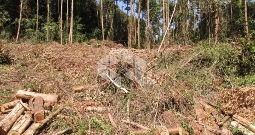 Chácara / sítio à venda na Vereador Fridolino Ludwig, 100, Linha Imperial, Nova Petrópolis