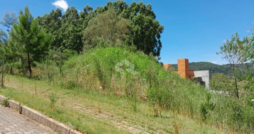 Terreno à Venda no Loteamento Montes Verdes - Linha Imperial