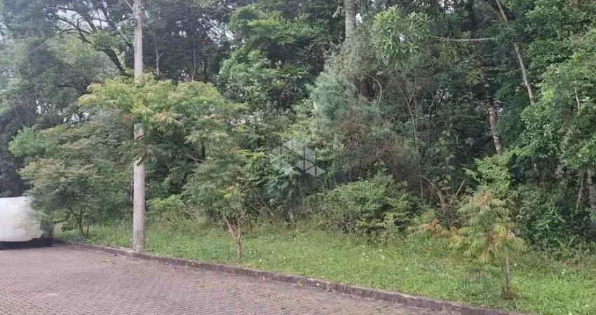 Terreno com 370,50 m2 em área arborizada residencial na serra gaúcha