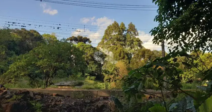 Terreno no Bairro Bavária em Nova Petrópolis / Serra Gaúcha