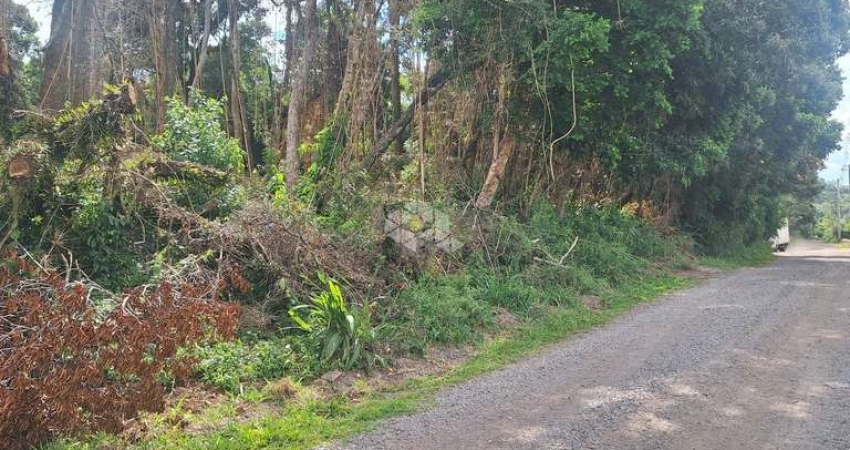 Terreno com 933,66 m2 em área de constante valorização na serra gaúcha.
