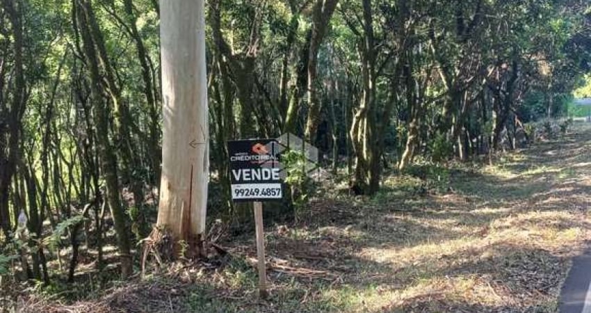 Chácara no munícipio de Linha Nova na serra gaúcha.