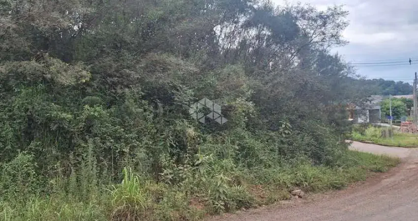 Terreno com 367,44 m2 na serra gaúcha a venda por R$ 238.500,00