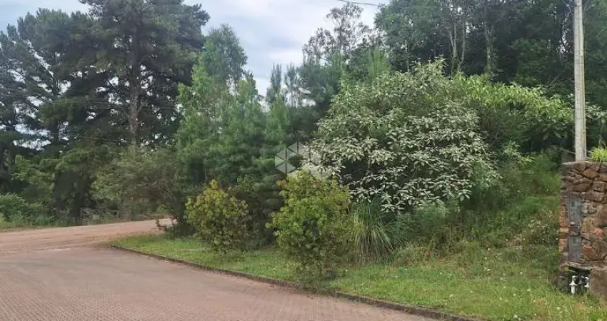 Terreno com 386,24 m2 na serra gaúcha a venda por r$ 270.000,00.