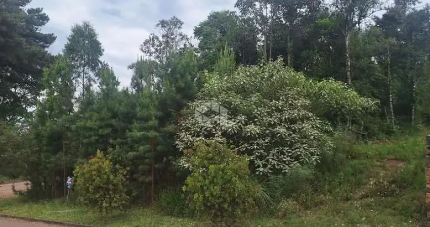 Terreno com 386,24 m2 na serra gaúcha a venda por R$ 270.000,00.