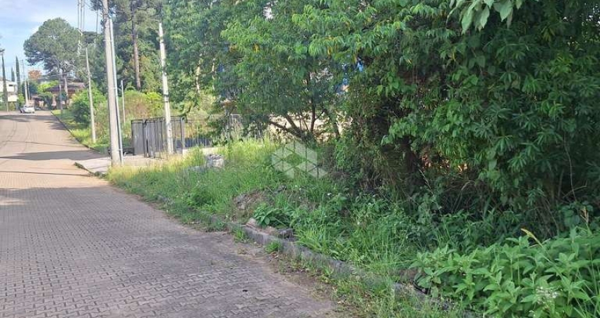 Terreno com 517,04 m2 em área nobre na serra gaúcha por  R$ 540.600,00