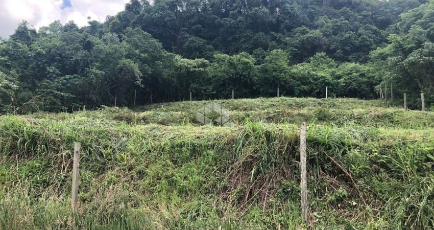 Terreno no Pinha Alto em Nova Petrópolis na serra Gaúcha
