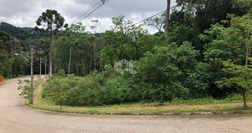 Terrenos no Loteamento Bosque das Araucárias na Linha Imperial