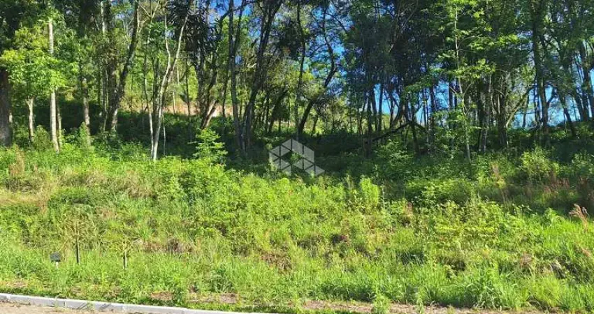 Terreno com 426,60 m2 em área arborizada na serra gaúcha