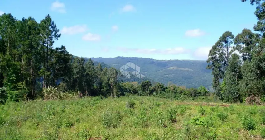 Chácara / sítio à venda na Vicente Prieto, 10760, Pinhal Alto, Nova Petrópolis