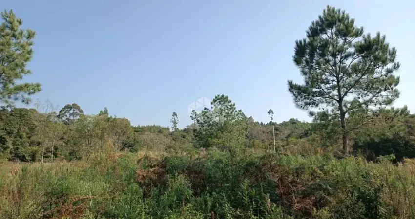 Área de Terras com 48.946,99 m² à Venda  por  R$ 330.000,00