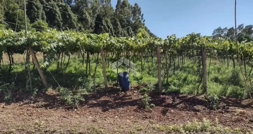 Sítio com 41.584,40 m² e Vista Panorâmica no Alto de Picada Café - Serra Gaúcha