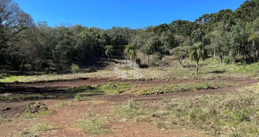 Chácara / sítio à venda na Rua José Grings, 1275, Linha Imperial, Nova Petrópolis