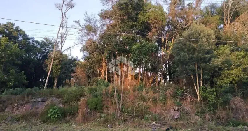 Terreno à venda na Das Calêndulas, 1, Juriti, Nova Petrópolis
