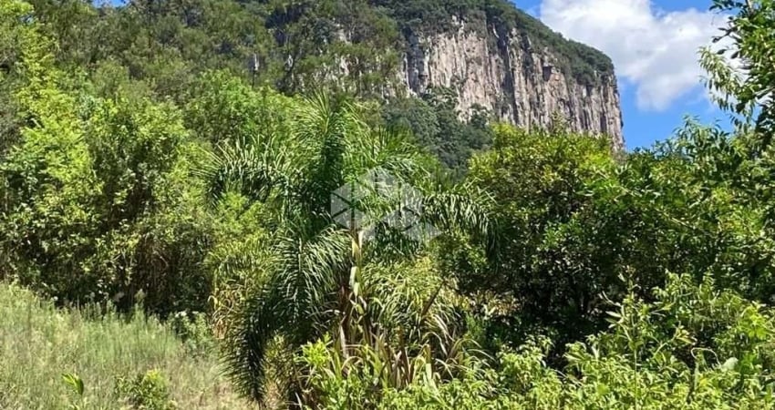Chácara / sítio à venda na Linha Brasil / Riachuelo, 1, Linha Brasil, Nova Petrópolis