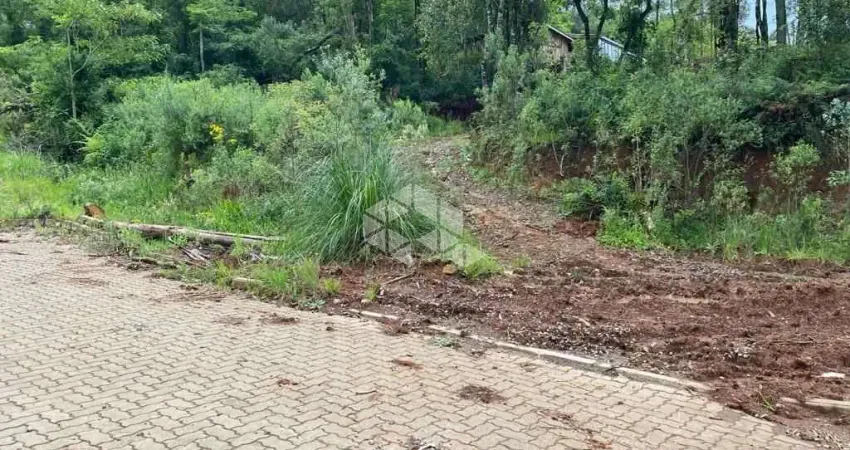 Terreno à venda na Vicente Pietro, 500, Linha Imperial, Nova Petrópolis