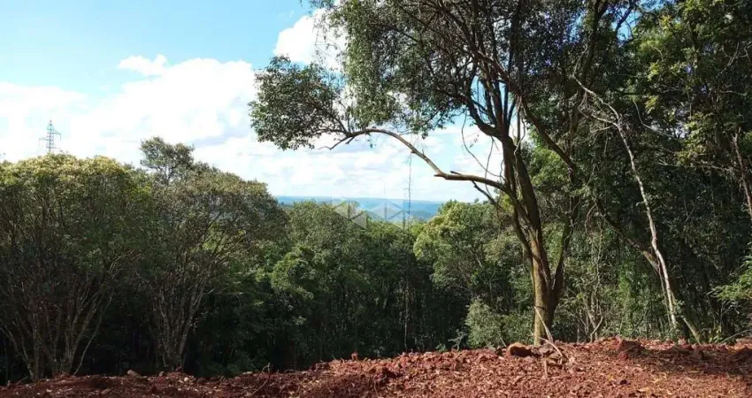 Chácara / sítio à venda na Antonio Schoeller, 01, Linha Imperial, Nova Petrópolis