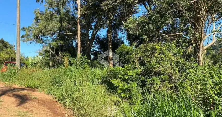 Chácara / sítio à venda na Fazenda Pirajá, 1001, Zona Rural, Nova Petrópolis