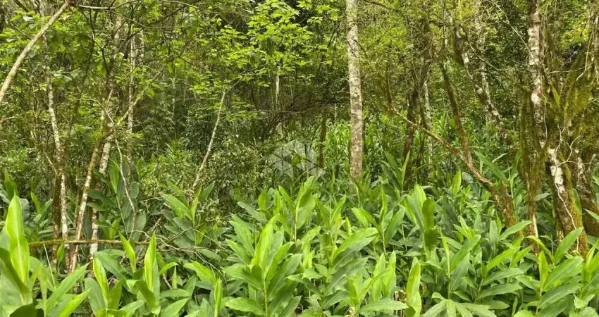 Chácara / sítio à venda na Pedancino, 1, Zona Rural, Nova Petrópolis