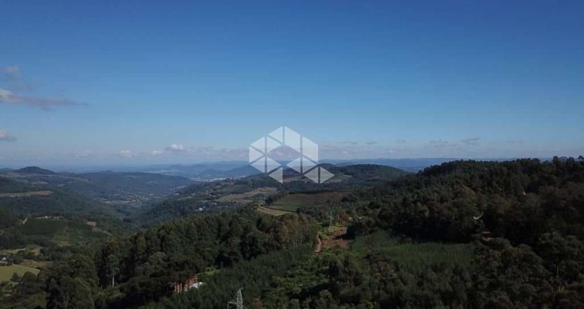 Belíssima área de 2,3 ha a 800m do asfalto e a 11 km do centro de Nova Petrópolis.