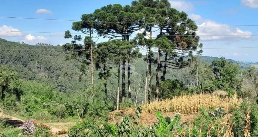 Belíssima área de 2,3 ha a 800m do asfalto e a 11 km do centro de nova petrópolis.